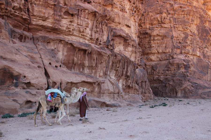 From Wadi Rum: Camel Ride Experience with Tea and Guide - The Valley of the Moon photo stops