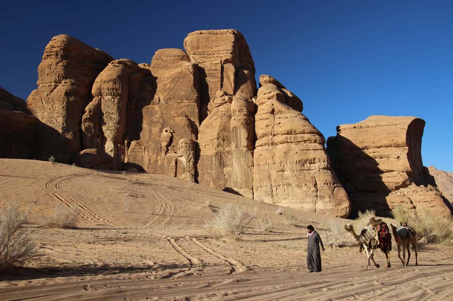 From Wadi Rum: Camel Ride Experience with Tea and Guide - Meeting point, timing, and practical details