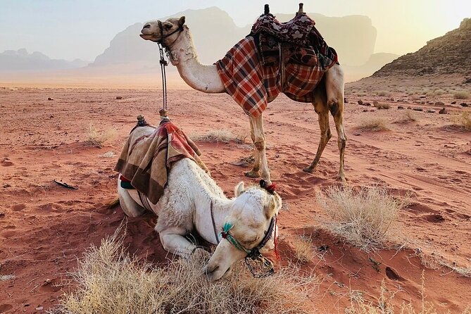 Full Day 4x4 Classic Desert Tour with overnight in private tent - Um Fruth Rock Bridge and the classic photo stop