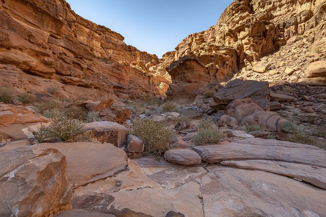 Full-Day 8 Hour Jeep Tour into Wadi Rum Protected Area with Stay - Abu Khashaba Canyon adds a real walk