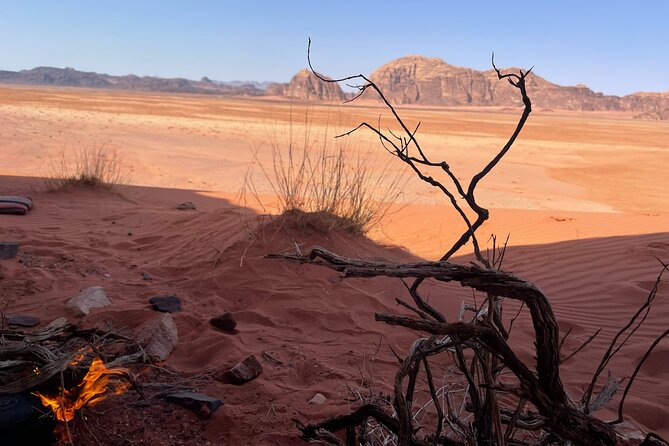 Full-Day Hiking in Wadi Rum's Desert with Lunch - Lunch and tea in mountain shade