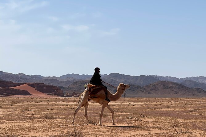 Full-Day Hiking in Wadi Rum's Desert with Lunch - Who will enjoy this hike most