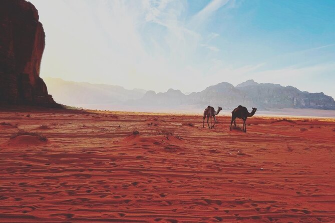 Full Day Jeep and Camel Tour - Lunch, drinks, and the practical value of the package