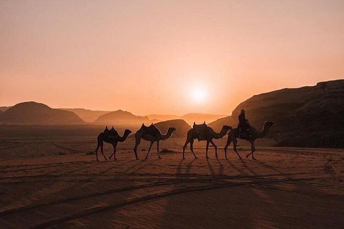 Full Day Jeep Tour with Overnight in beduin Camp Stay! (All Meals Included) - Lawrence Spring and the first taste of Wadi Rum