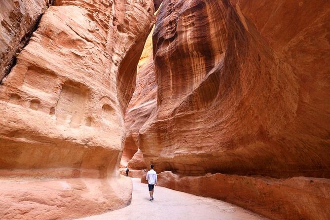Full-Day Petra Adventure: Round-Trip Transportation from Amman - What this Amman to Petra day trip really offers