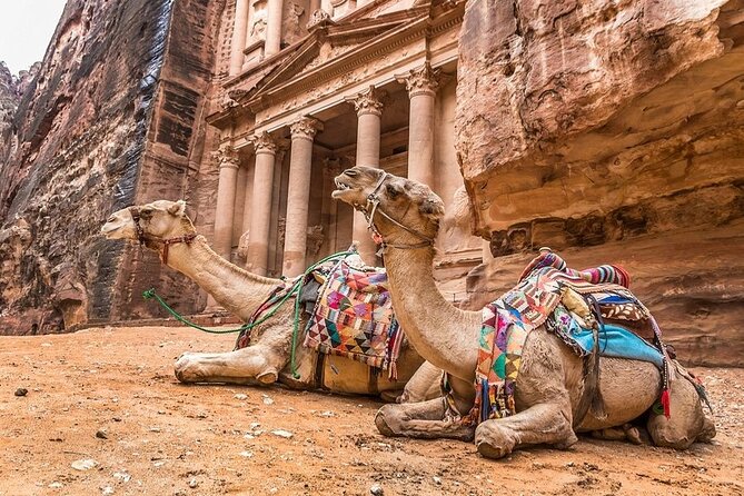 Full Day Petra and Wadi Rum Tour from Amman - What the $200 price really covers