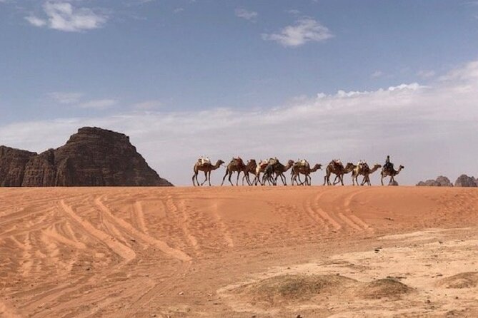 Full-Day Private Tour in Petra with Hotel Pick-Up - The Treasury, Street of Facades, and Royal Tombs