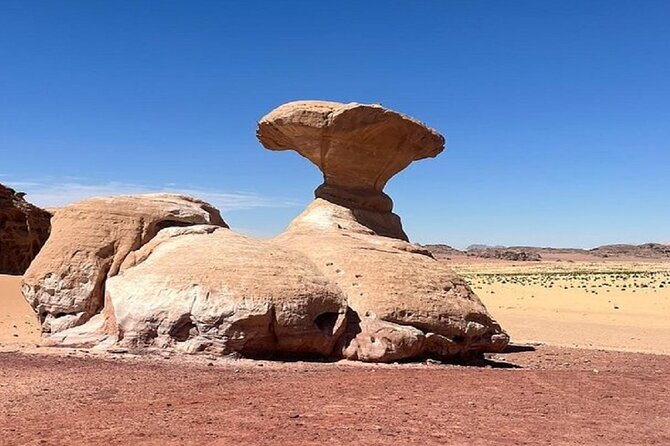 Full Day Tour Petra and Wadi Rum from Amman - The Early Road South From Amman