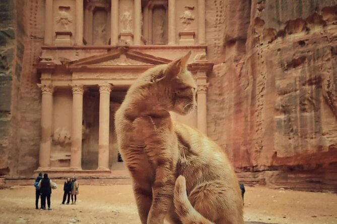 Full Day Tour Petra and wadi rum from Amman or Dead sea - One long day from Amman or the Dead Sea