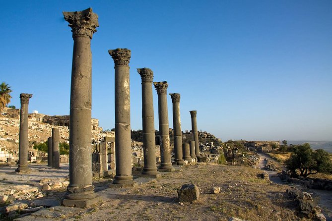 Full-Day Tour: Umm Qais, Jerash, and Ajloun from Amman - Ajloun Castle: a compact fortress with wide views