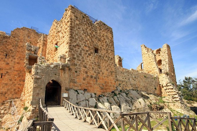 Full-Day Tour: Umm Qais, Jerash, and Ajloun from Amman - Jerash: give the Roman city the longest visit