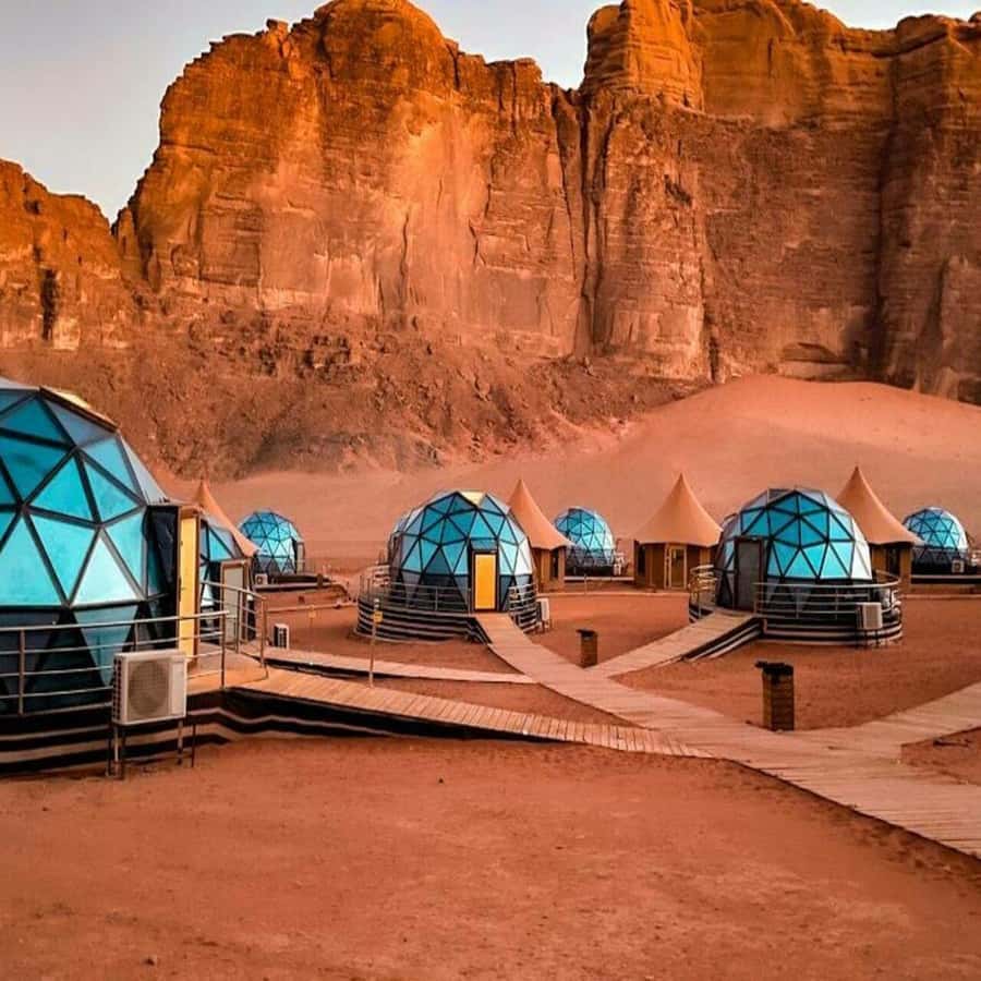 Full-Days Tours Petra from Amman - Should you book it?
