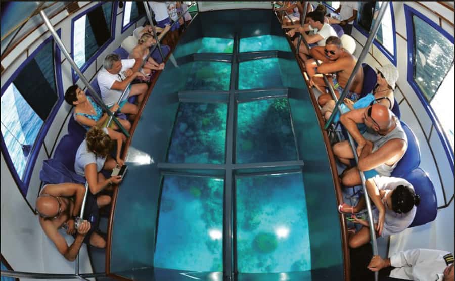 Glass Boat & Snorkeling with day use of Berenice Beach Club - What the $35 Aqaba boat trip actually gives you