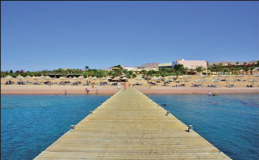 Glass Boat & Snorkeling with day use of Berenice Beach Club - One hour over Aqaba’s coral and wrecks