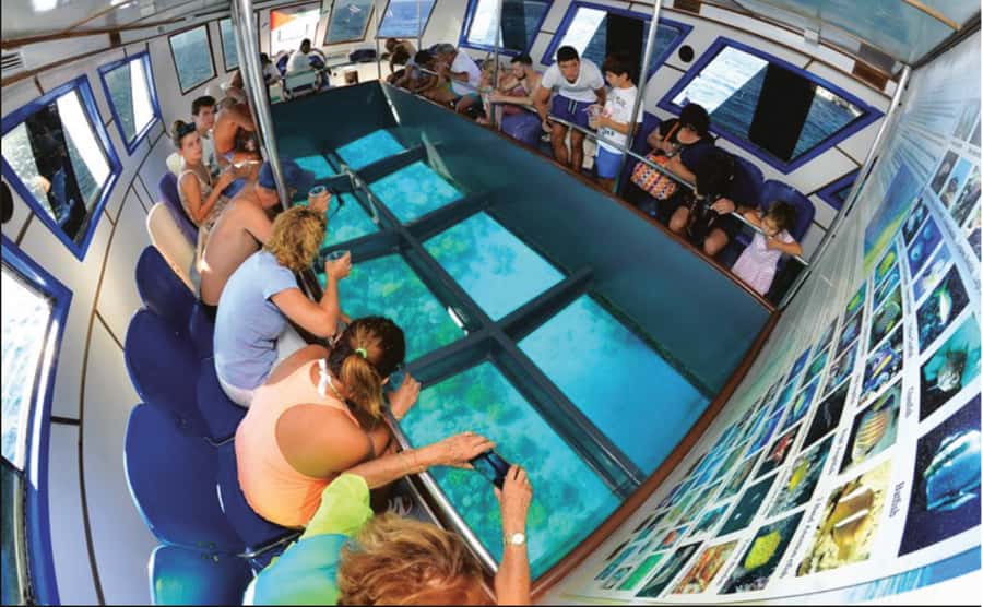 Glass Boat & Snorkeling with day use of Berenice Beach Club - Starting near McDonald’s Aqaba