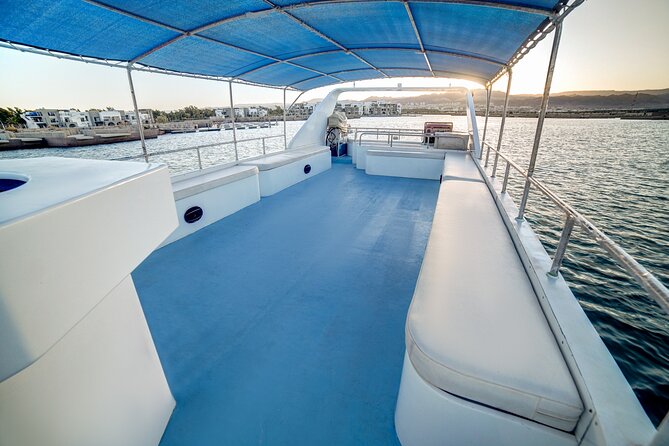 Glass-Bottom Boat 2-hours Tour and Coral-Reef Viewing from Aqaba - The glass-bottom view of the Red Sea