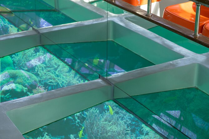 Glass-Bottom Boat 2-hours Tour and Coral-Reef Viewing from Aqaba - The 35-minute snorkeling stop