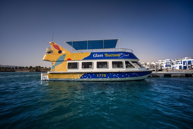 Glass-Bottom Boat 2-hours Tour and Coral-Reef Viewing from Aqaba - What you see along Aqaba’s coast