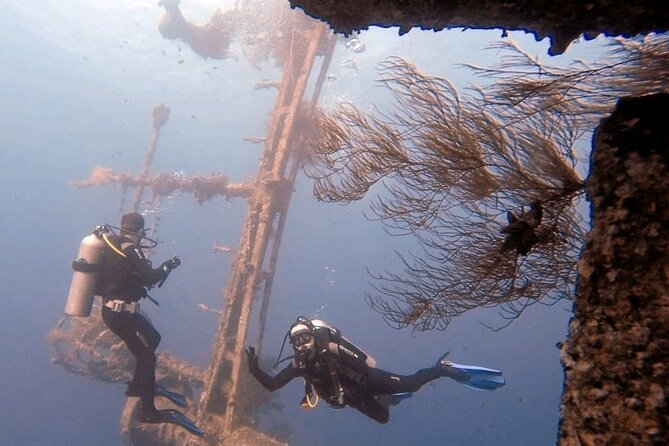 Guided Scuba Diving Adventure in Aqaba - Key points to know before booking