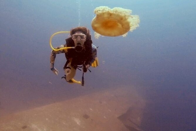 Guided Scuba Diving Adventure in Aqaba - Aqaba’s Red Sea setting makes this more than a pool lesson