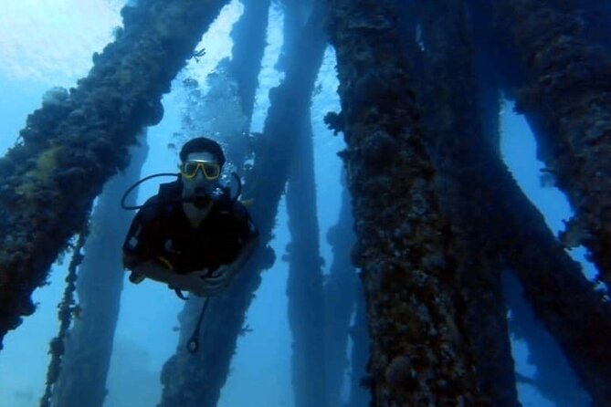 Guided Scuba Diving Adventure in Aqaba - Is $48.62 good value for Aqaba scuba?