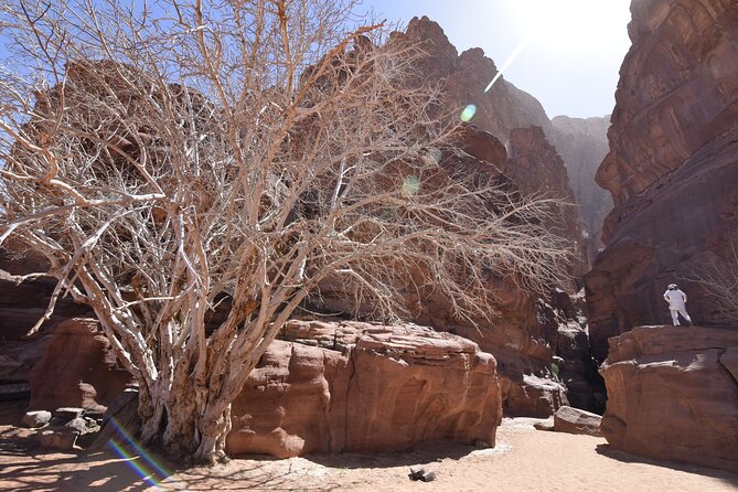Half day Jeep and camel tour No stay - Climb the little bridge if you want a short challenge