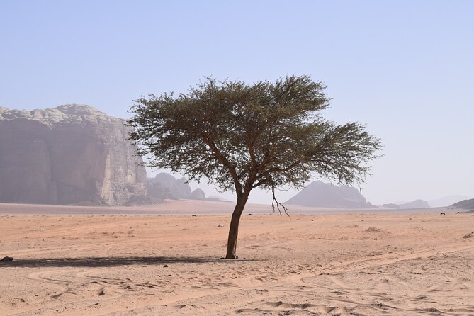 Half day Jeep and camel tour No stay - The small group affects the day