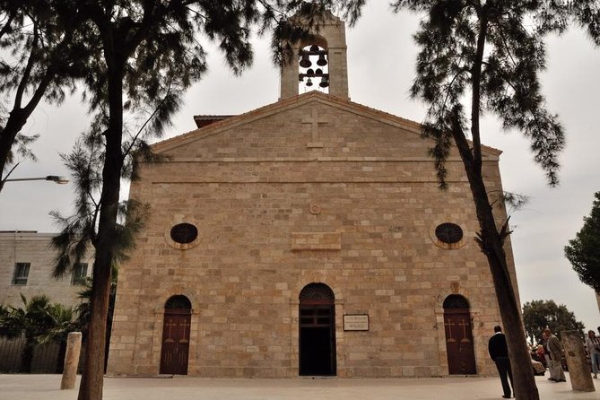 Half-Day Majesty: Madaba Mosaics & Mount Nebo's View - The $63 price and what you receive