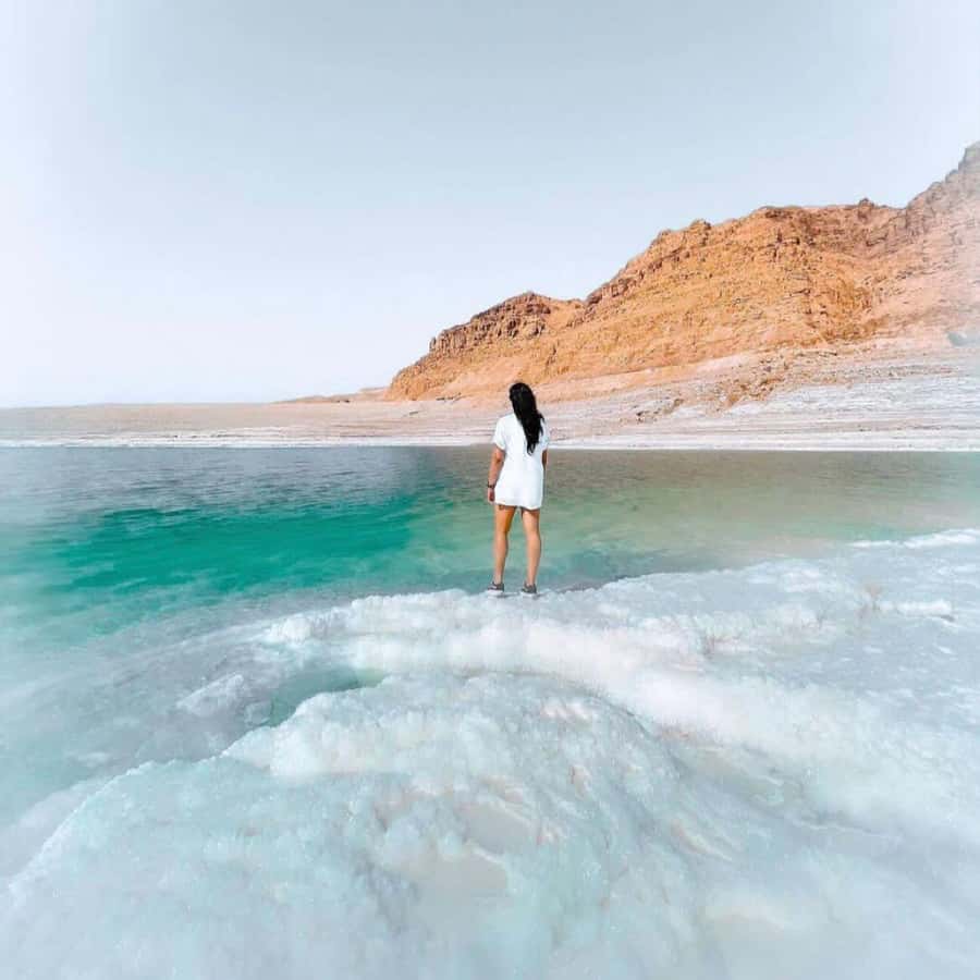 Half Day Tour Dead Sea , Pink Lake, Crystal beach From Amman - How the six-hour timing works