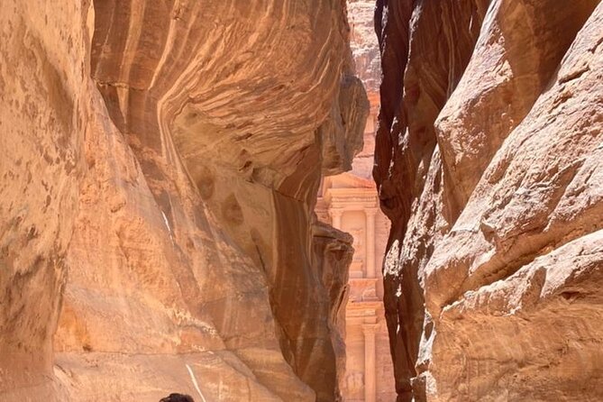Half Day Tour to the Wonderful City of Petra - What the $140 price really covers