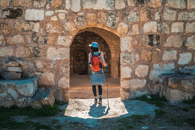 Jerash Ajloun and Umm Qais Private Tour - Private transport and the value of a dedicated driver