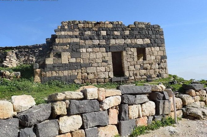 Jerash, Ajloun, and Umm Quais Full-Day Tour - A driver, not a full-time guide