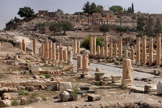 Jerash, Ajloun, and Umm Quais Full-Day Tour - Timing, lunch, and the price of convenience