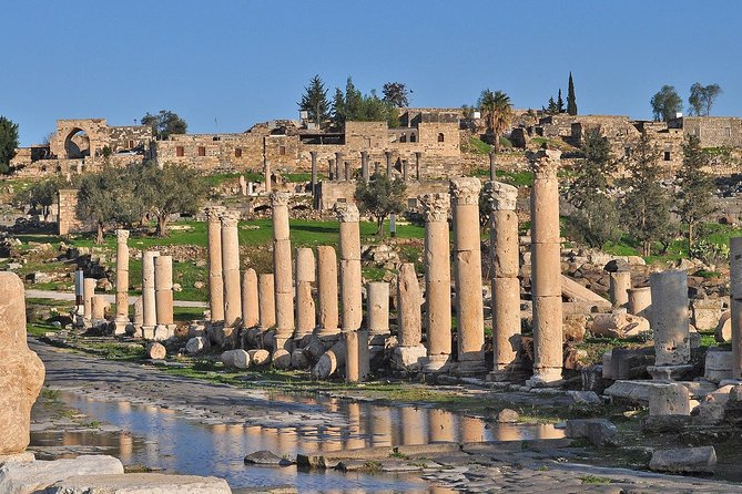 Jerash, Ajloun, and Umm Quais Full-Day Tour - Who should book this tour?
