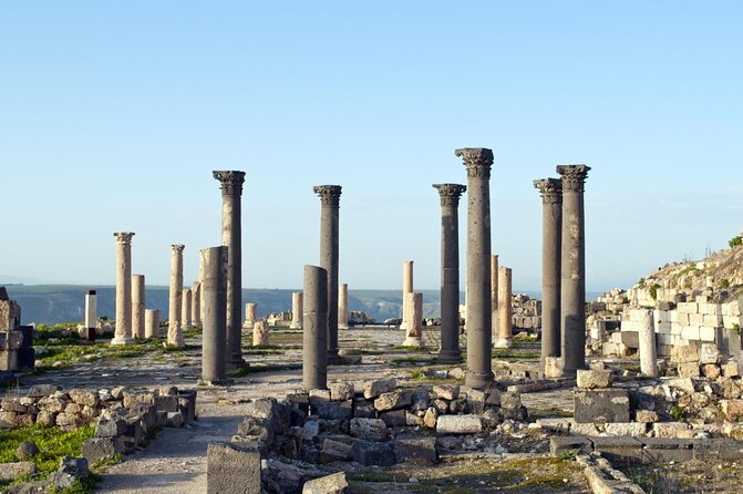 Jerash, Ajloun, Umm Qais Day Trip - Key points to know before booking