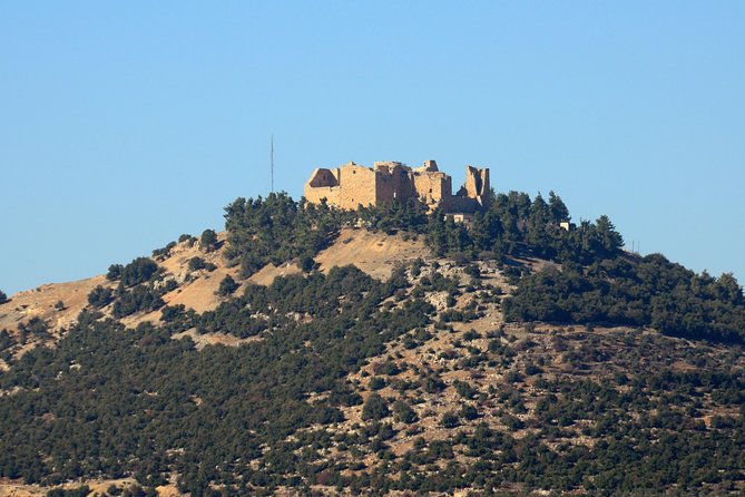 Jerash, Ajloun, Umm Qais Day Trip - Comfort, cost, and the small practical details