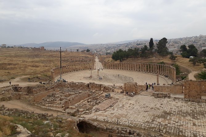Jerash, Ajloun & Umm Qais Private tour - A private car changes the pace