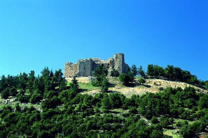Jerash and Ajloun Castle Full day Tour - Who should book this day trip?