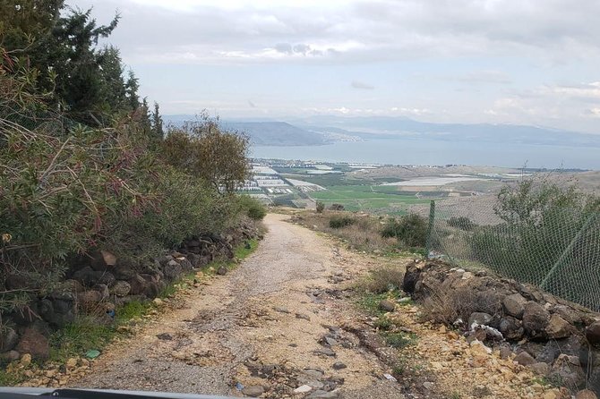 Jerash, Umm Qais, Cave of Jesus From Amman - What the private transport adds to the day