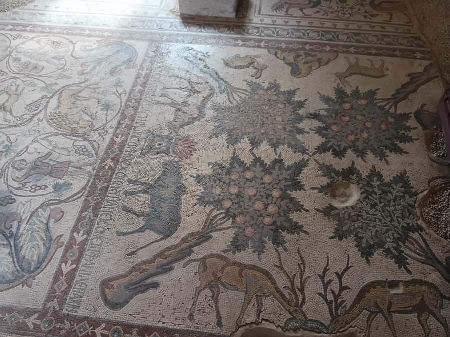 Jordan Mosaic Wonders: Umm ar-Rasas, Madaba & Mount Nebo - What the $71 price really covers