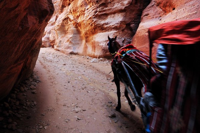 Jordan Private Driver Services | The Jordanian Mappers - The Dead Sea, Madaba, and northern stops