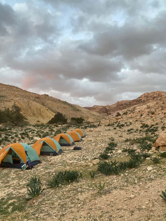 Jordan Trail: Dana to Petra 4-Day Trekking Tour - Entering Petra from Little Petra