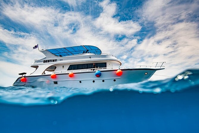 Journey of Diving or Snorkelling from a Boat - Key points to know before booking