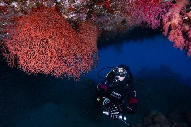 Journey of Diving or Snorkelling from a Boat - What the four-hour itinerary feels like