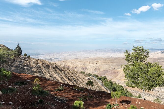 Madaba and Mount Nebo tour from Amman - Price, added costs, and overall value
