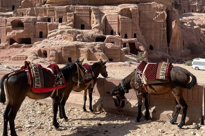 Nabatean Nights Stay in Petra Jordan - Bedouin Village with Tour - Starting at the Treasury in Petra