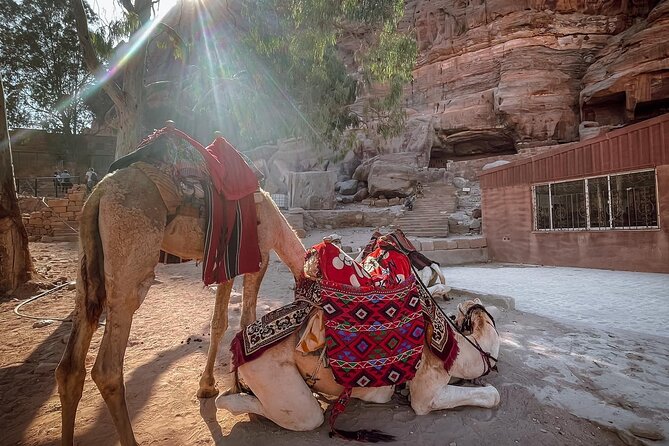Nabatean Nights Stay in Petra Jordan - Bedouin Village with Tour - Reaching the Monastery and its long approach