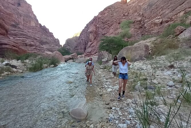 One Day Hiking Wadi Al Hasa Canyon - The return walk along the river