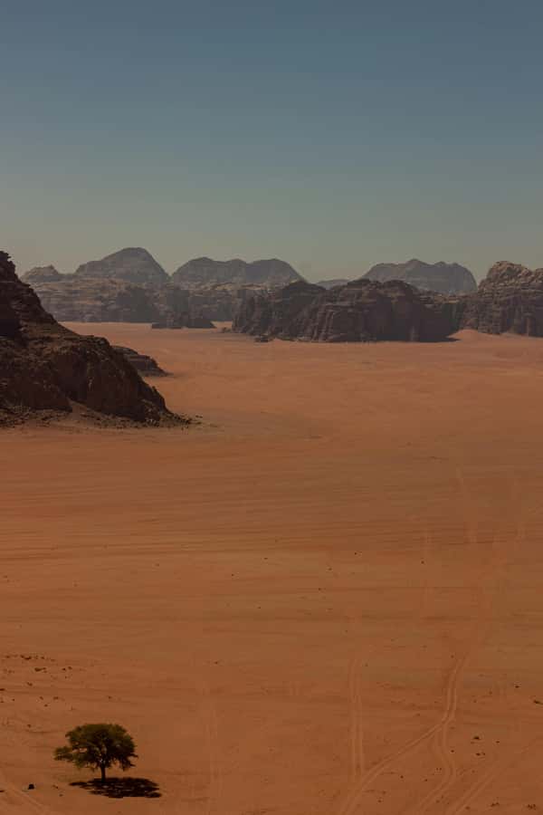One Day Tour from Aqaba - Petra and Wadi Rum - Aqaba - Who will enjoy this day most