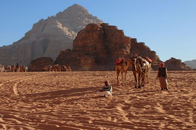 One Day Tour to Wadi Rum From Amman - Camel rides, sand dunes, and extra activities